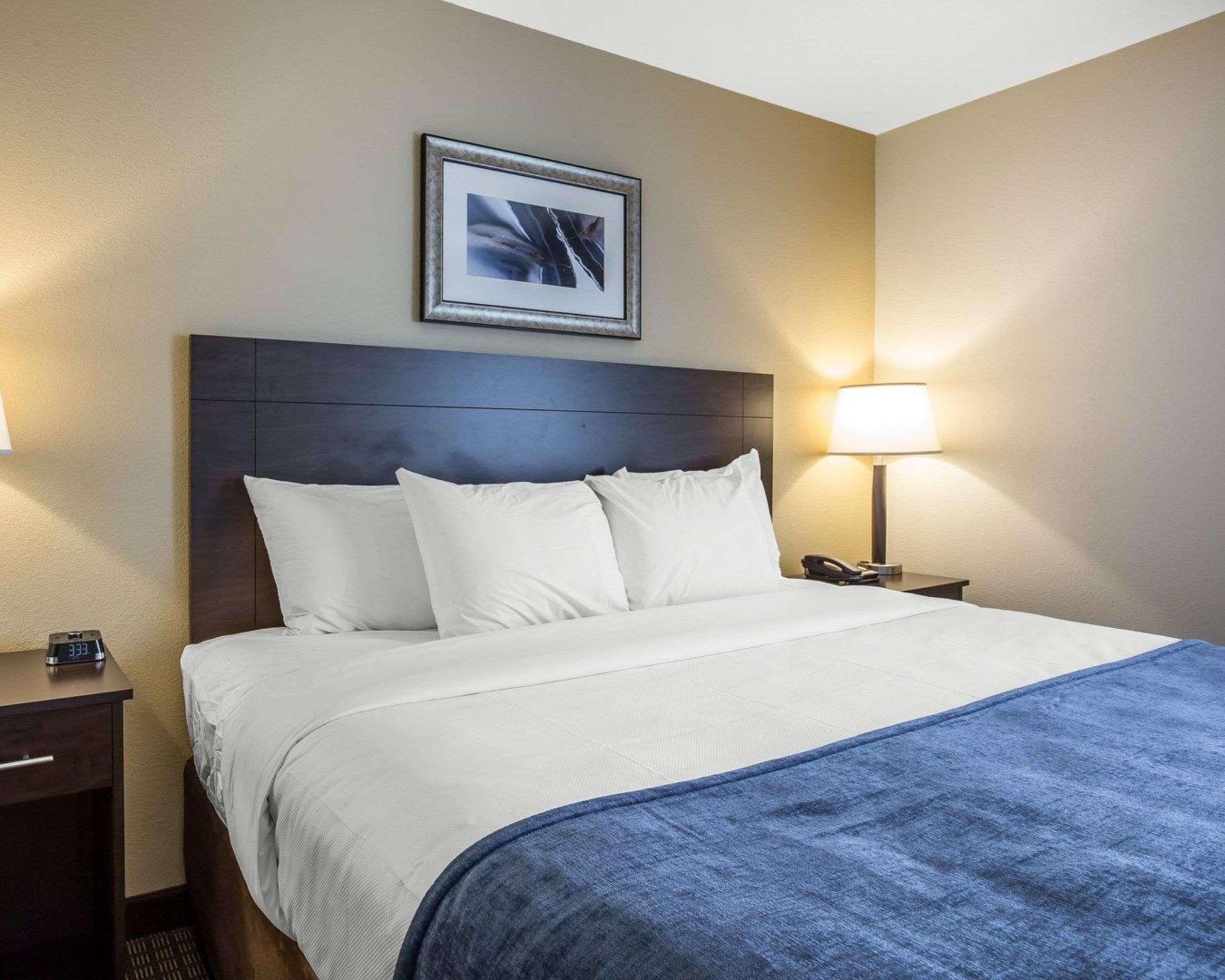 Mainstay Suites كارترزفيل المظهر الخارجي الصورة