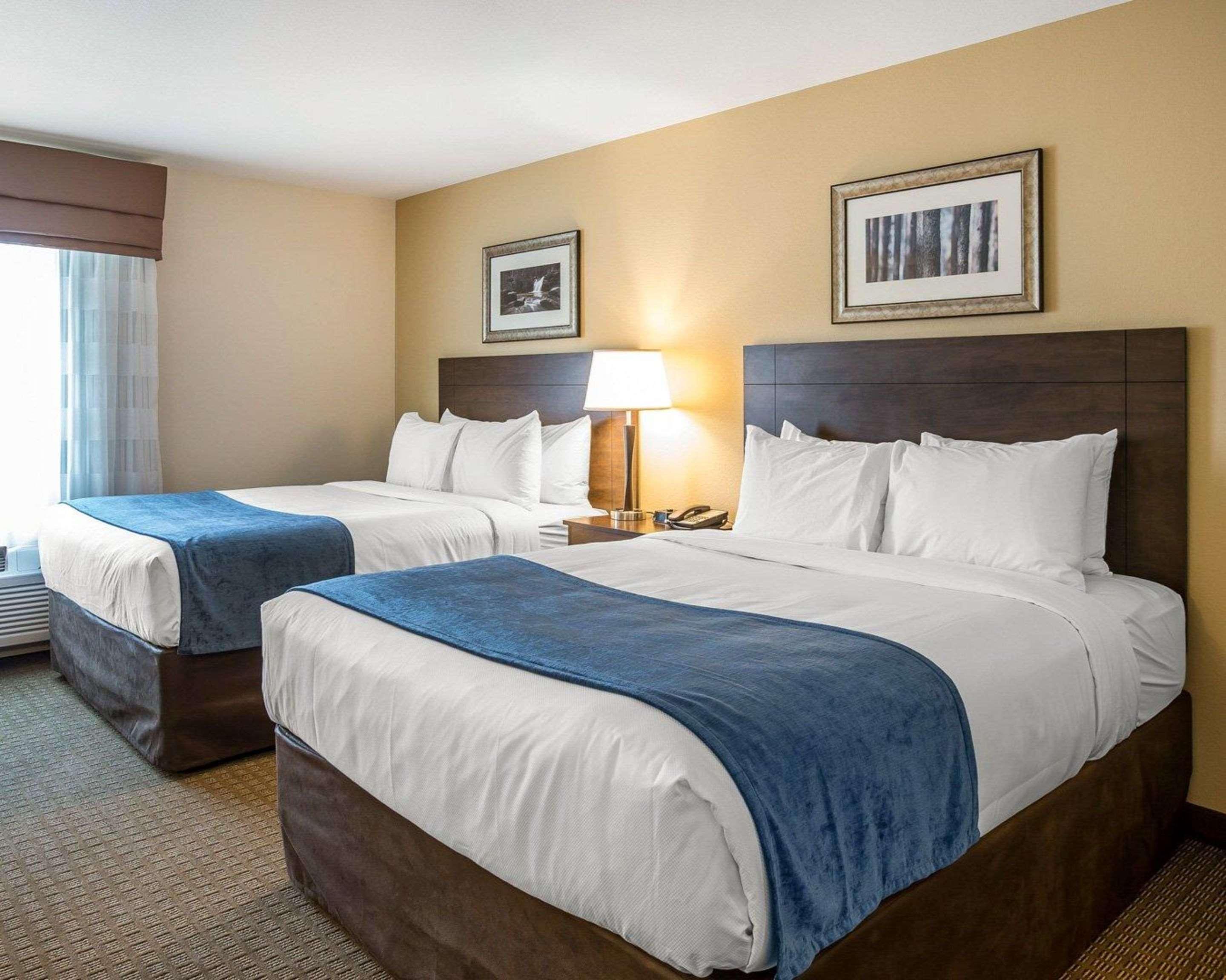 Mainstay Suites كارترزفيل المظهر الخارجي الصورة