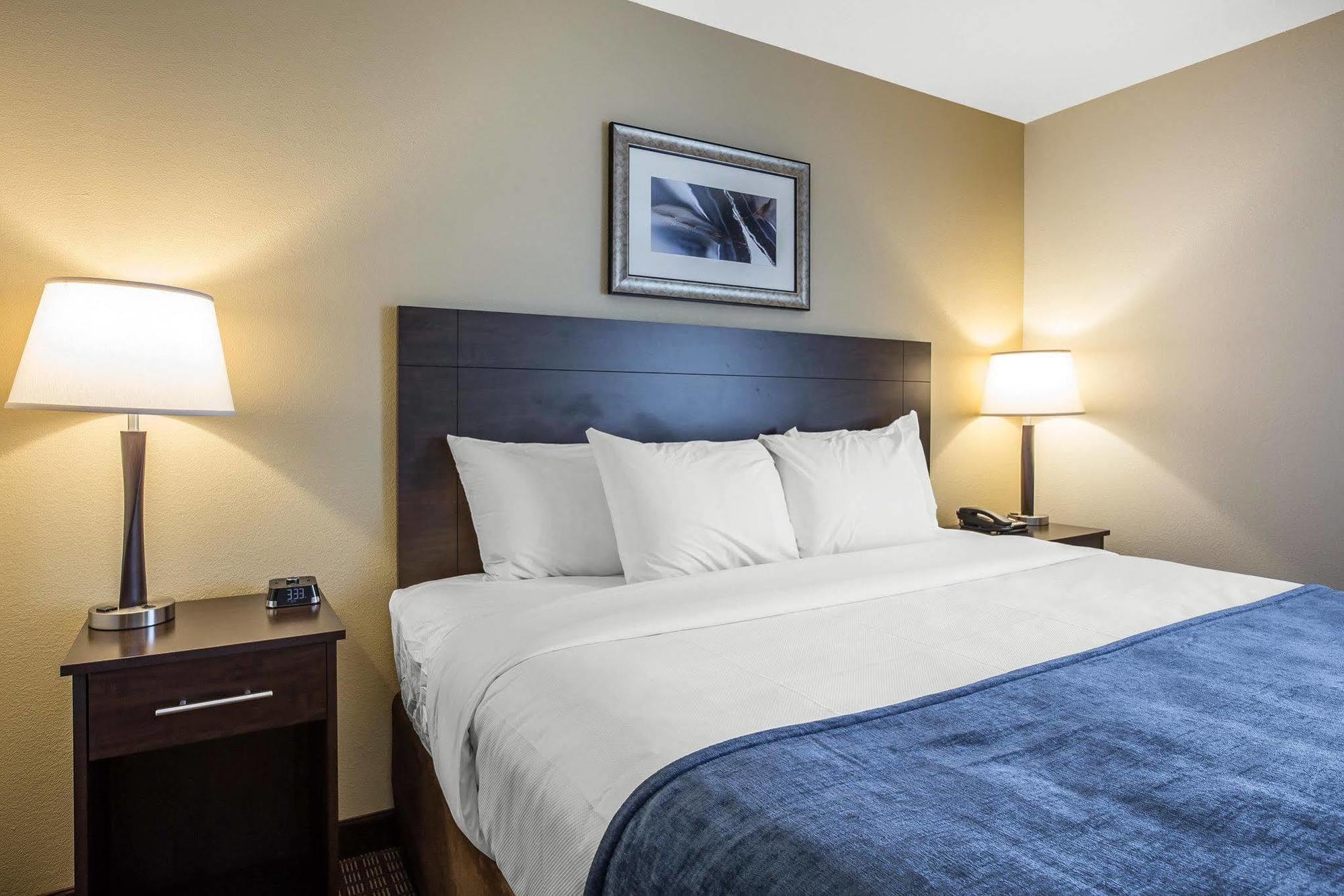 Mainstay Suites كارترزفيل المظهر الخارجي الصورة